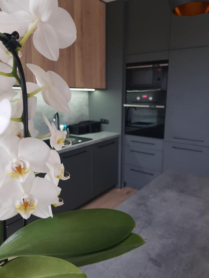 Luksusowe Apartamenty Na Torunskiej Kwidzyn Exterior foto